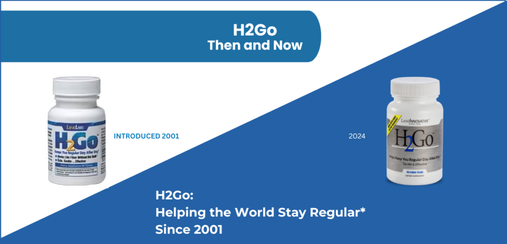 H2Go from LaneInnovative