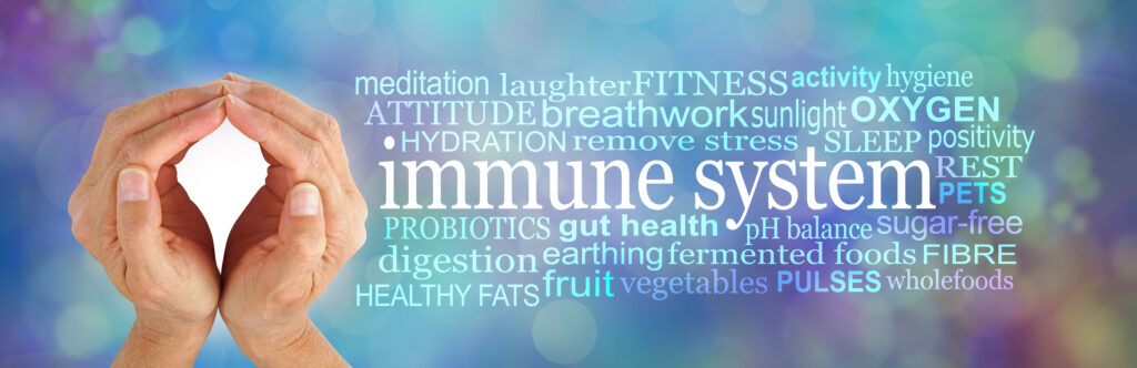 Immune system